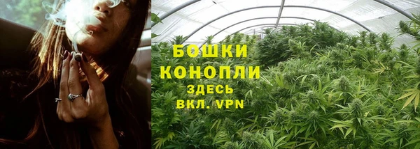 герыч Дмитриев